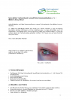 2011-11_Newsletter