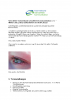 2012-04_Newsletter